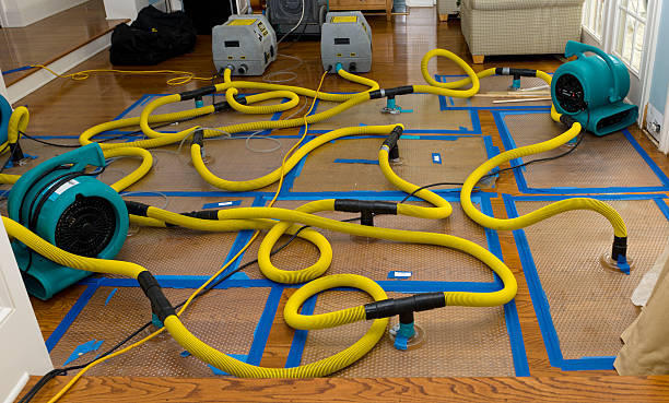 Professional Basement Flood Cleanup technician working in Cutchogue, NY